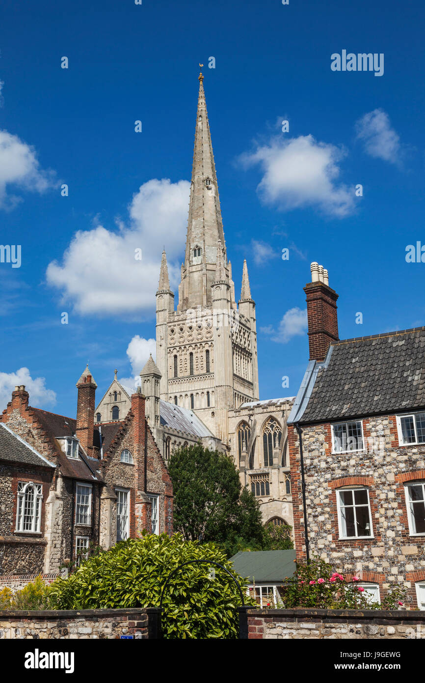 Inghilterra, East Anglia, Norfolk, Norwich, Norwich Cathedral Foto Stock