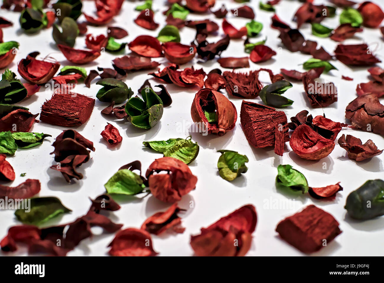 Fiori secchi e foglie che compongono una bella texture con il rosso e il verde come colori predominanti e sfocata bianco come sfondo Foto Stock