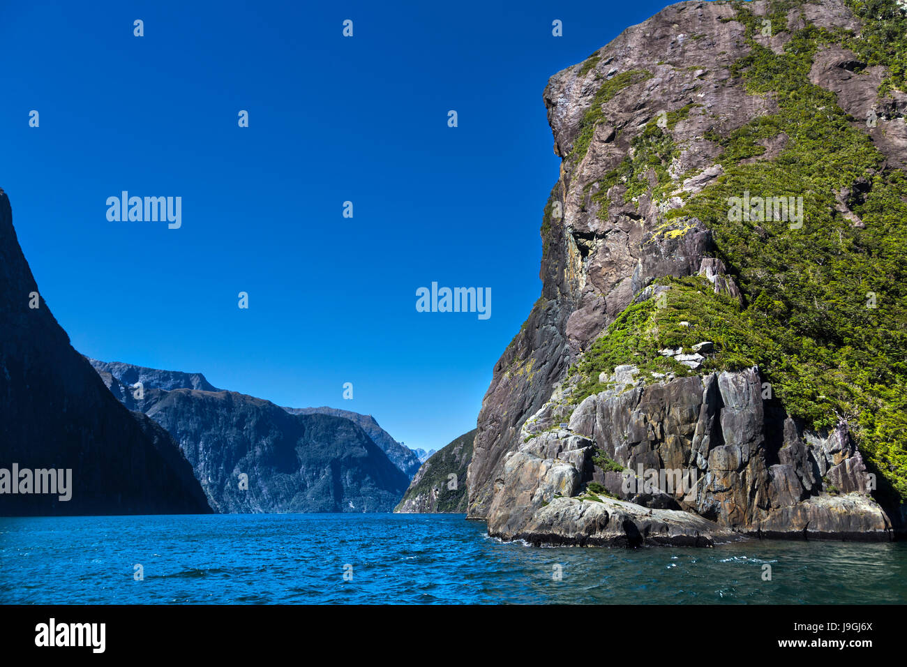 Vista panoramica di Milford Sound fiordland, Isola del Sud, Nuova Zelanda Foto Stock