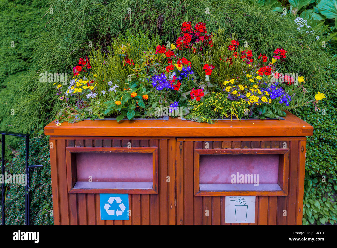 Trash Can garden piantatrice, Butchart Gardens, Brentwood Bay, British Columbia, Canada. Foto Stock