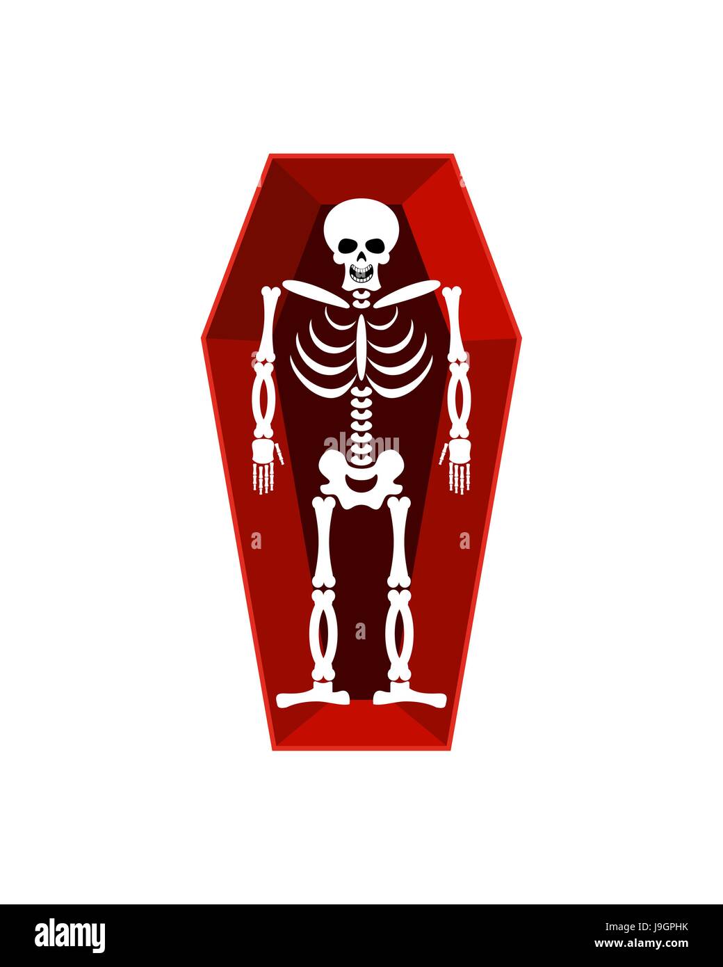 Lo scheletro nella bara isolato. La religione illustrazione. morte umana Illustrazione Vettoriale