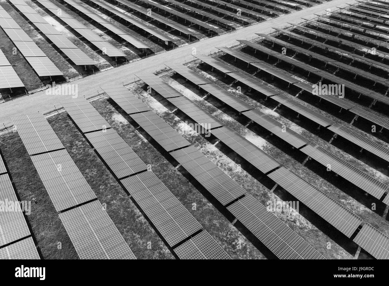 Energia solare stazione nel campo da fuco. Vista aerea della cella solare farm. Fattoria solare, pannelli solari dall'aria Foto Stock