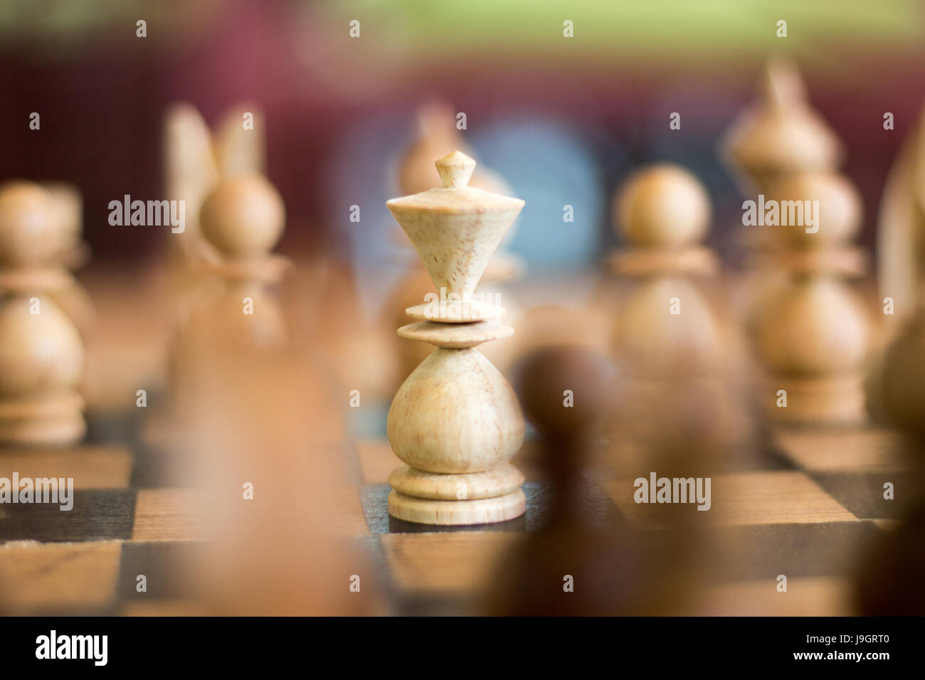 Selezionare focus re nel gioco degli scacchi sulla scacchiera Foto Stock