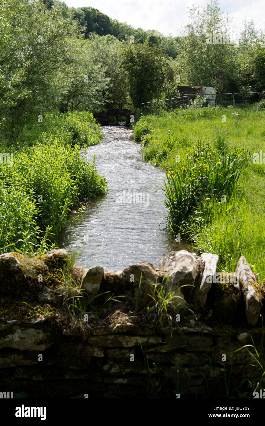 Il Fiume Windrush a Naunton, Gloucestershire, England, Regno Unito Foto Stock