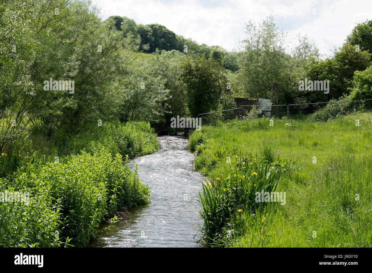 Il Fiume Windrush a Naunton, Gloucestershire, England, Regno Unito Foto Stock