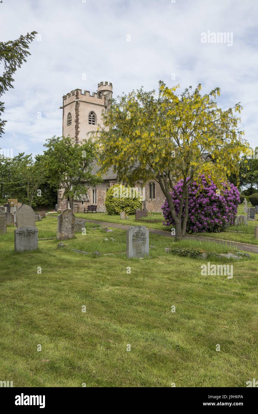 Aylesbeare, Devon, Regno Unito. 22 Maggio, 2017. La chiesa di St Mary Aylesbeare, Devon, dove il consigliere Pietro fedeli è in esecuzione per il Parlamento con un insolito manifesto - per scoprire i resti della Gran Bretagna più lunga mai persona mancante di indagine - che di Genette Tate. Credit: Foto centrale/Alamy Live News Foto Stock