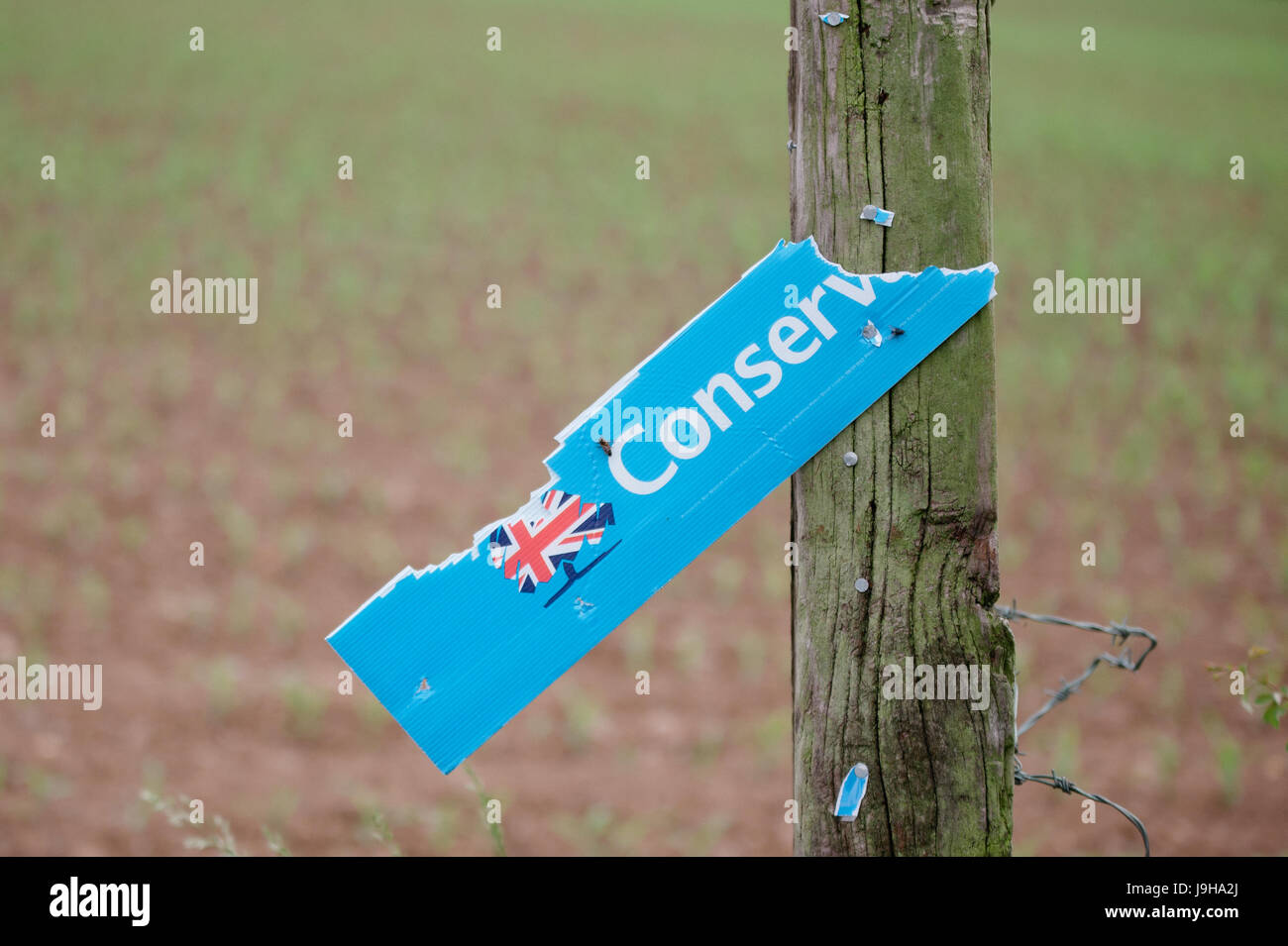 Partito conservatore di cartello elettorale soggetto ad atti vandalici e distrutto in Yate, a nord di Bristol. Candidato politico per l'area locale è Luca Hall. Foto Stock