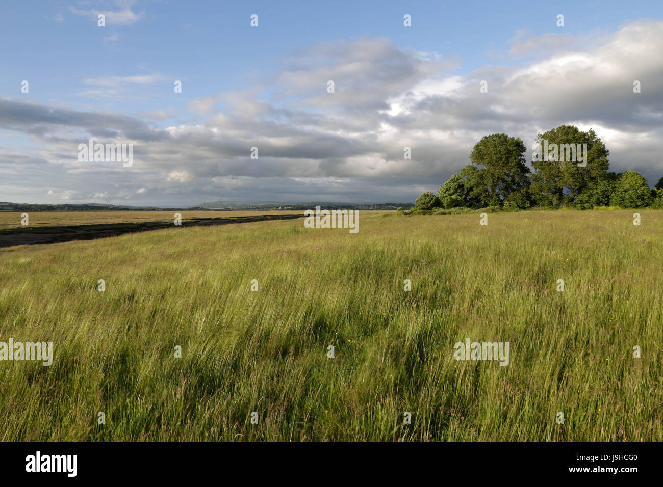 Swansea, Regno Unito. 2 Giugno, 2017. Meteo: l'Estuario Loughor a Penclawdd bagna la sera sun come nuvole scure raccogliere la navigazione a est. Credito: Gareth Llewelyn/Alamy Live News. Foto Stock
