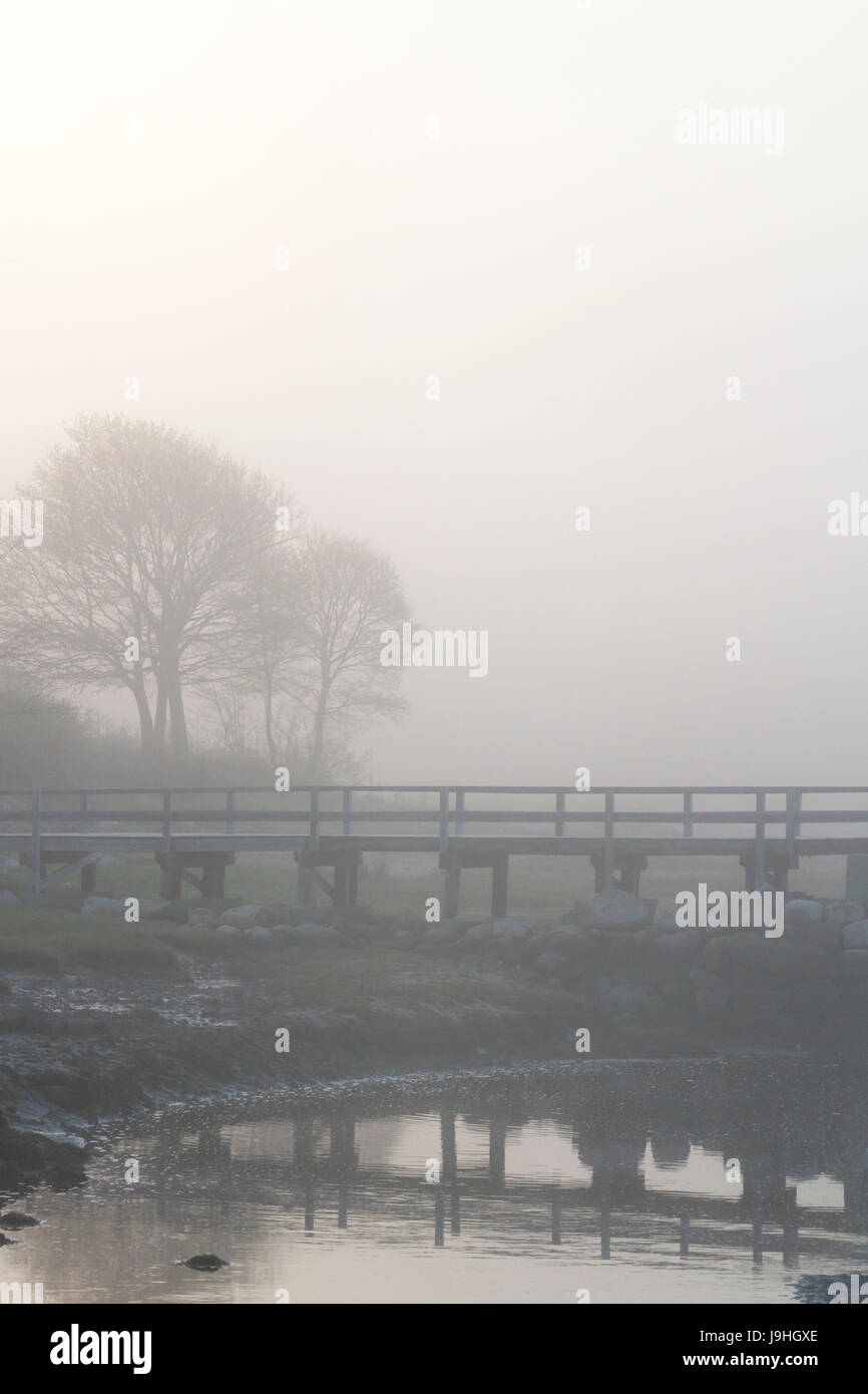 Ponte sul torrente e alberi nella nebbia Foto Stock