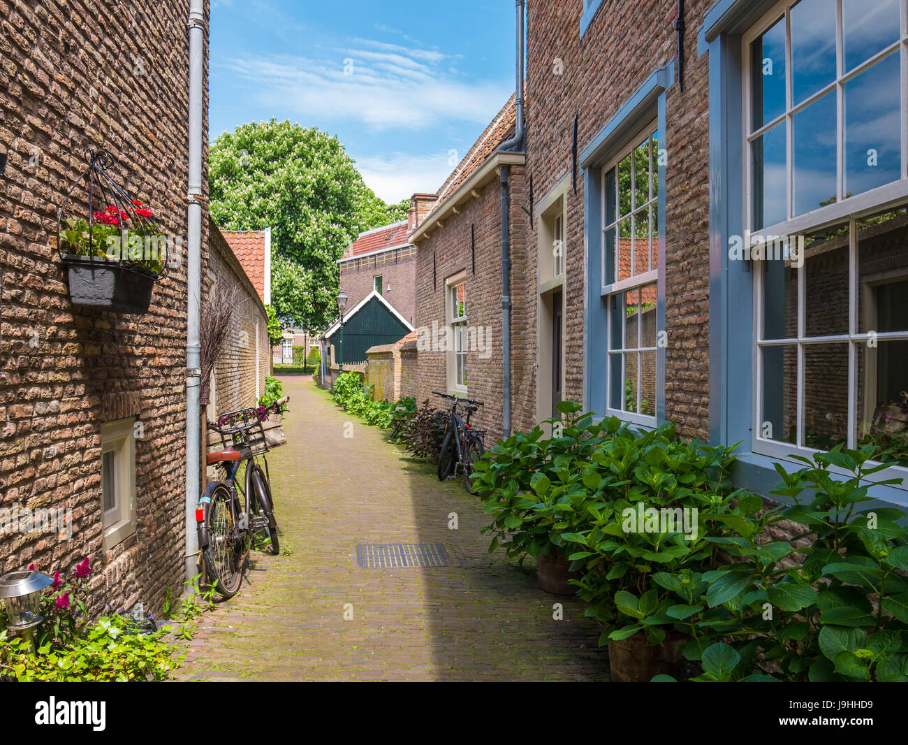 Piccolo vicolo chiamato Raas nella città vecchia di Brielle, Voorne-Putten in South Holland, Paesi Bassi Foto Stock
