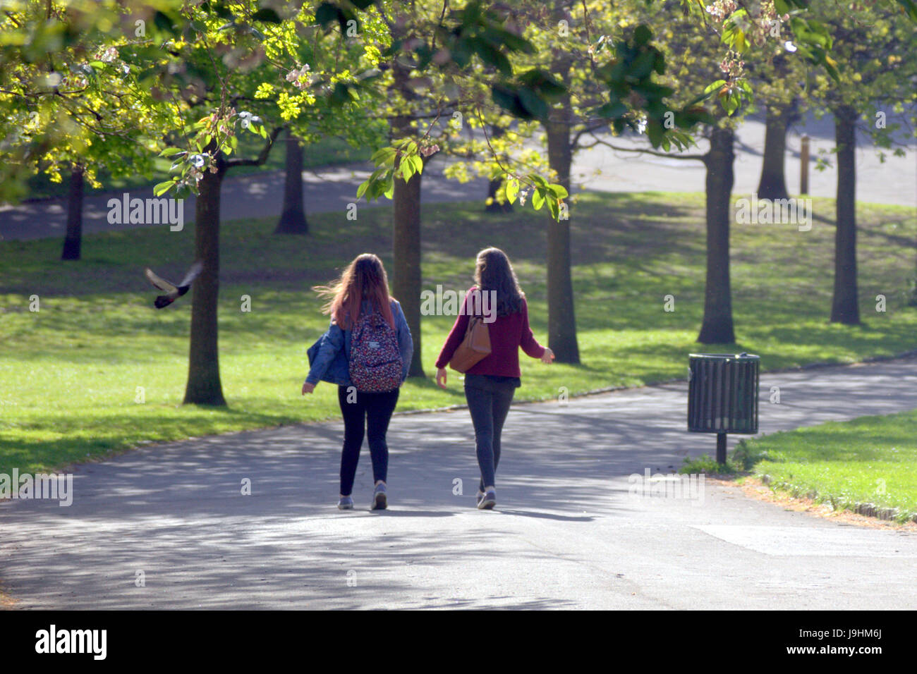 Glasgow Kelvingrove Park scene due ragazze a piedi spaventata da un piccione Foto Stock