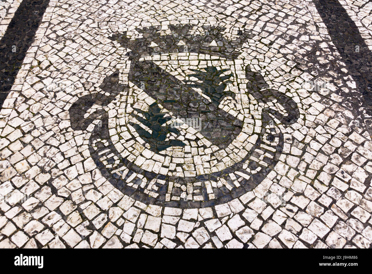 Un calçada (Portoghese) stile marciapiede in Machico, Madera, che mostra il villaggio stemma Foto Stock