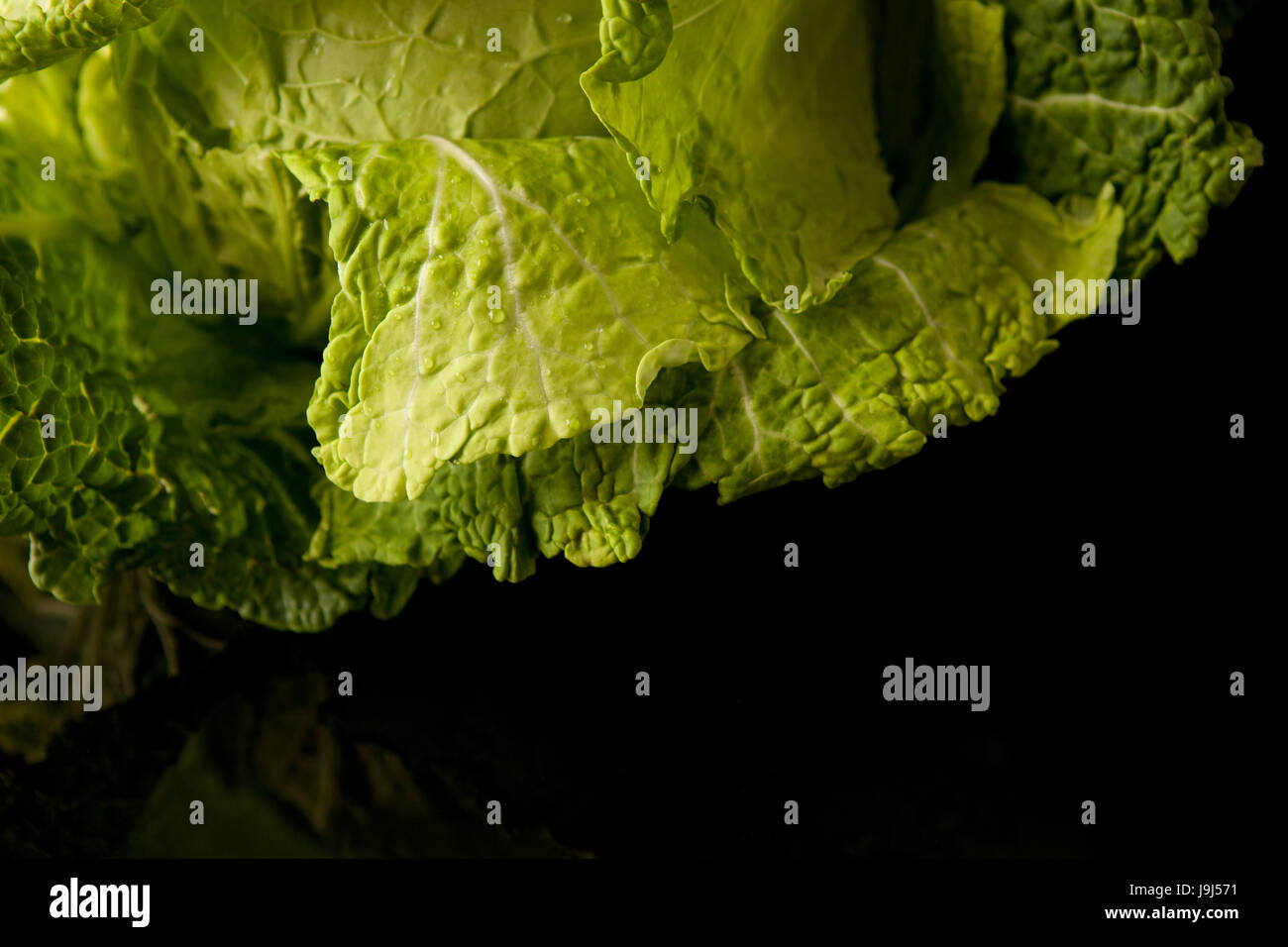 Naranjo en Flor è una fotografia gastronomica studio, basato in Santiago de Chile. Abbiamo creare immagini con responsabilità e buon gusto. Foto Stock