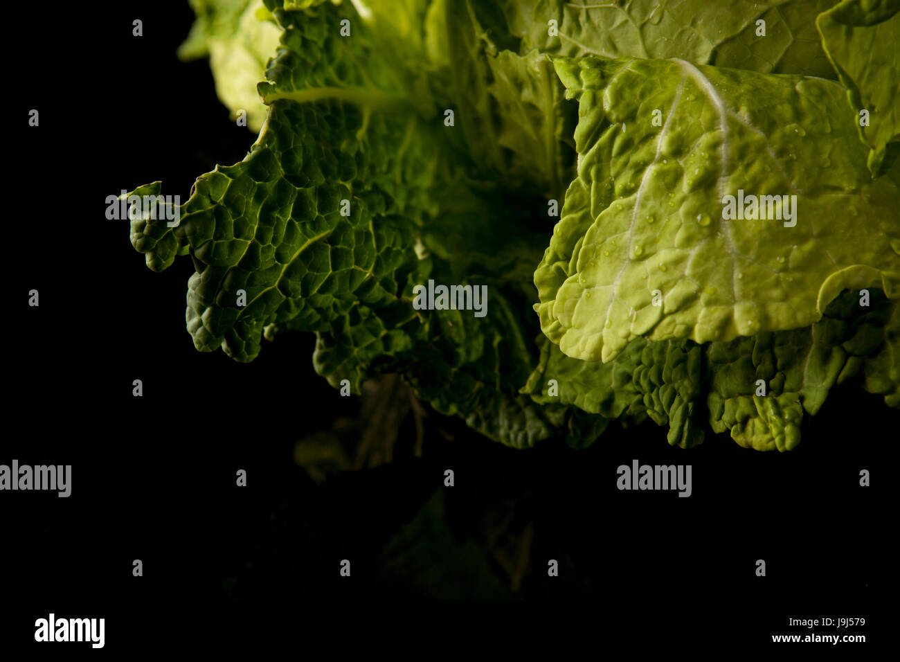 Naranjo en Flor è una fotografia gastronomica studio, basato in Santiago de Chile. Abbiamo creare immagini con responsabilità e buon gusto. Foto Stock