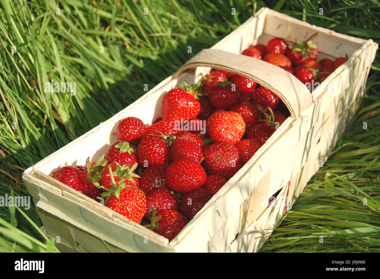 Dolce, frutta fragola, fresco e naturale, cibo, aliment, salute, eco, dolce, Foto Stock