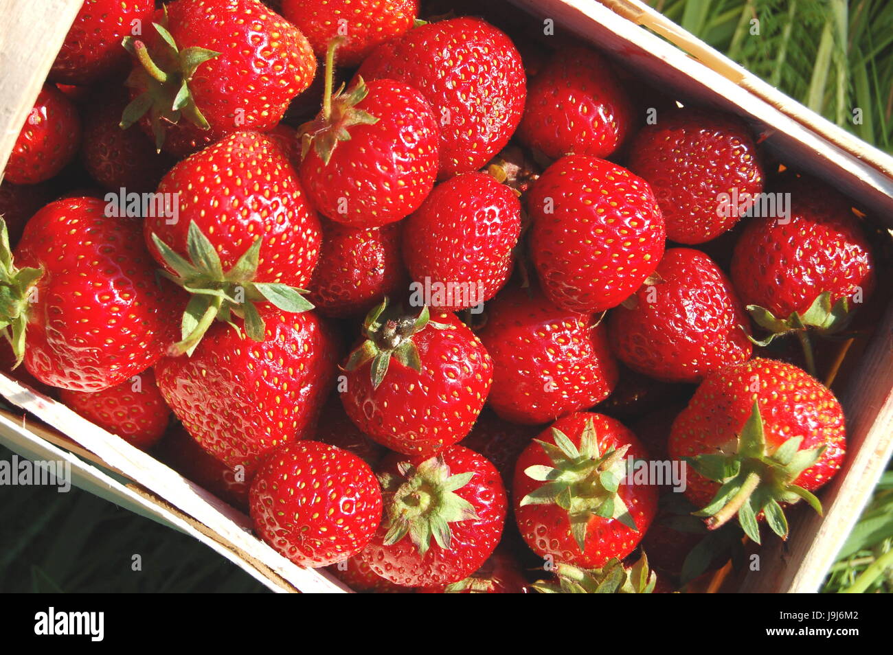 Dolce, frutta fragola, fresco e naturale, cibo, aliment, salute, eco, dolce, Foto Stock