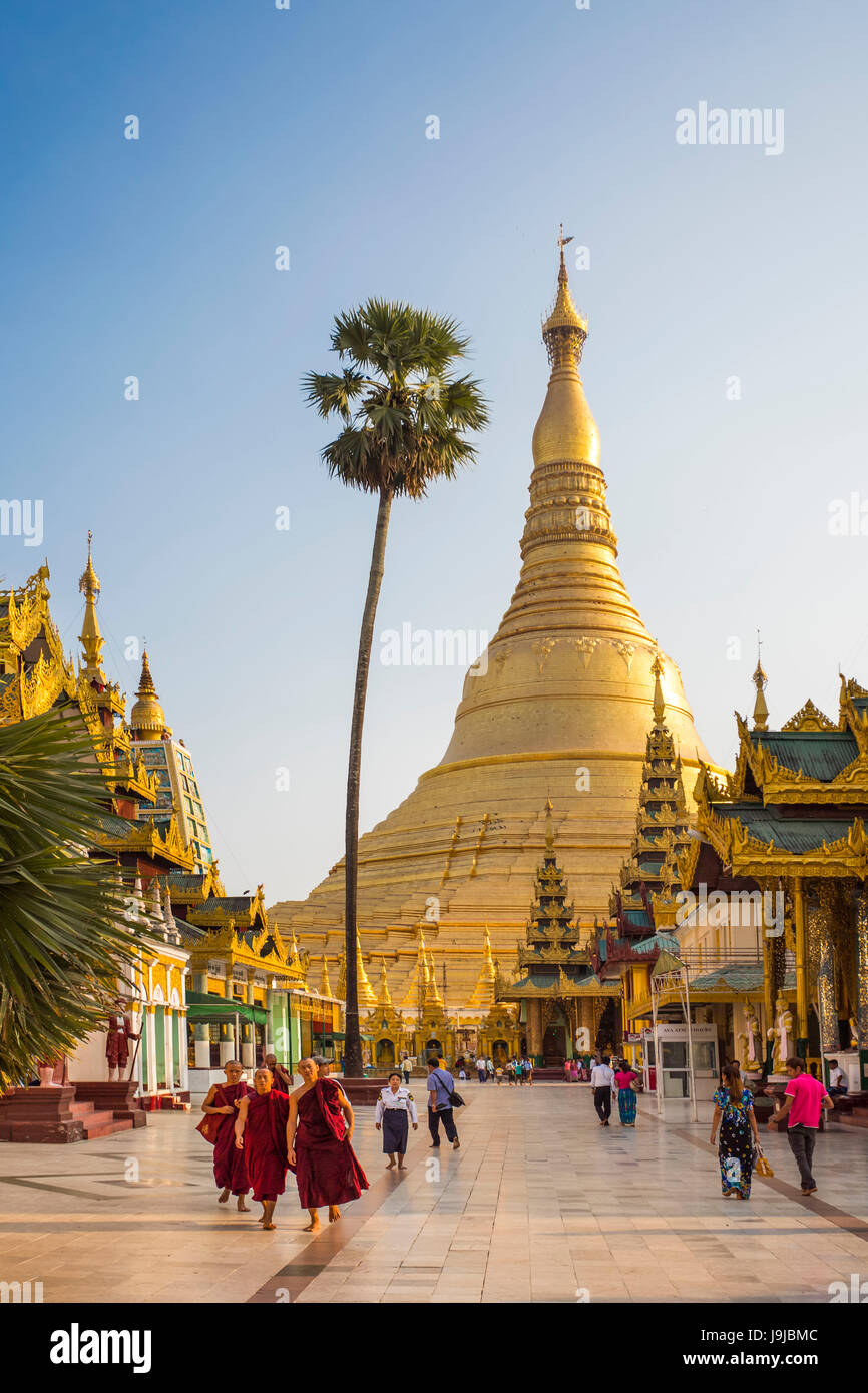 Myanmar, citta' di Yangon, Shwedagon pagoda, Foto Stock