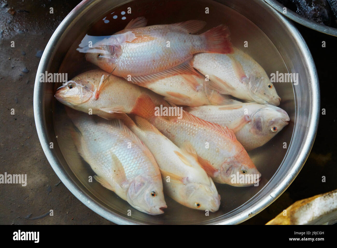 Il pesce per la vendita dal Can Tho fiume, vicino a Can Tho, Delta del Mekong, Vietnam Foto Stock