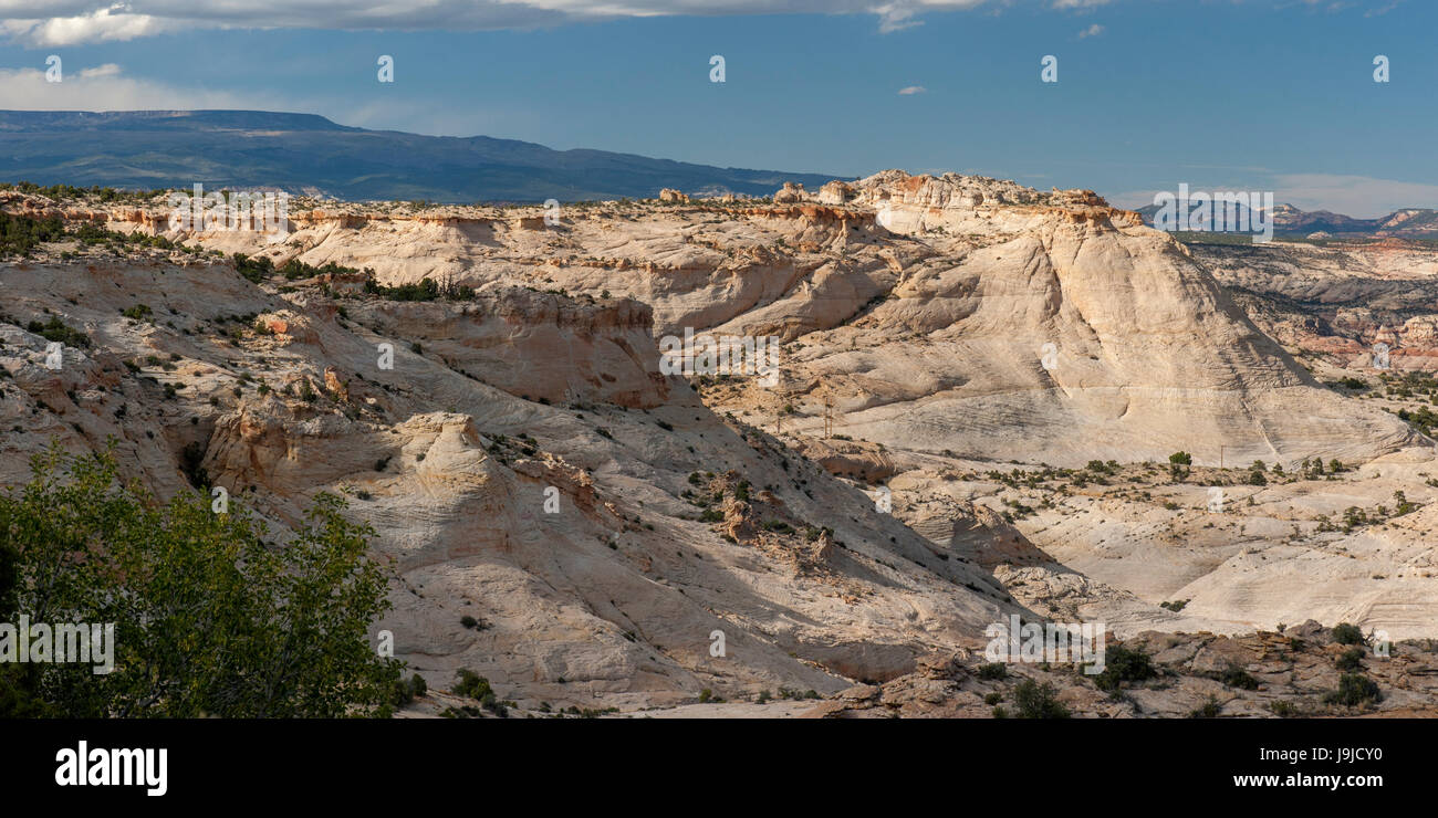 Arenaria Navajo nella Grand Staircase-Escalante monumento nazionale, come visto da un Hwy 12 viewpoint circa dieci miglia a est di Escalante, Utah. Foto Stock