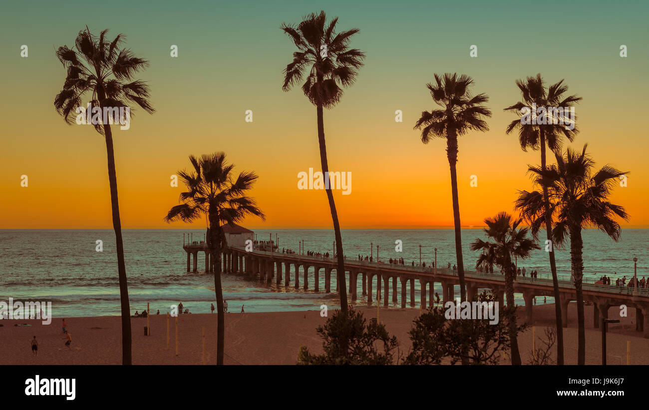 Palme sulla Spiaggia di Manhattan al tramonto, Los Angeles. In California. Foto Stock