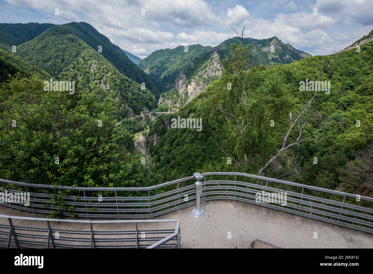 Vista aerea dal castello di Poenari anche chiamato Cittadella Poenari sull altopiano del Monte Cetatea, Romania, uno dei principali fortezza di Vlad III Impalatore Foto Stock