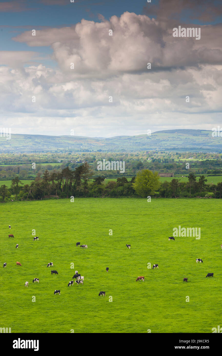 L'Irlanda, nella contea di Tipperary, Cashel, elevati vista campagna Foto Stock