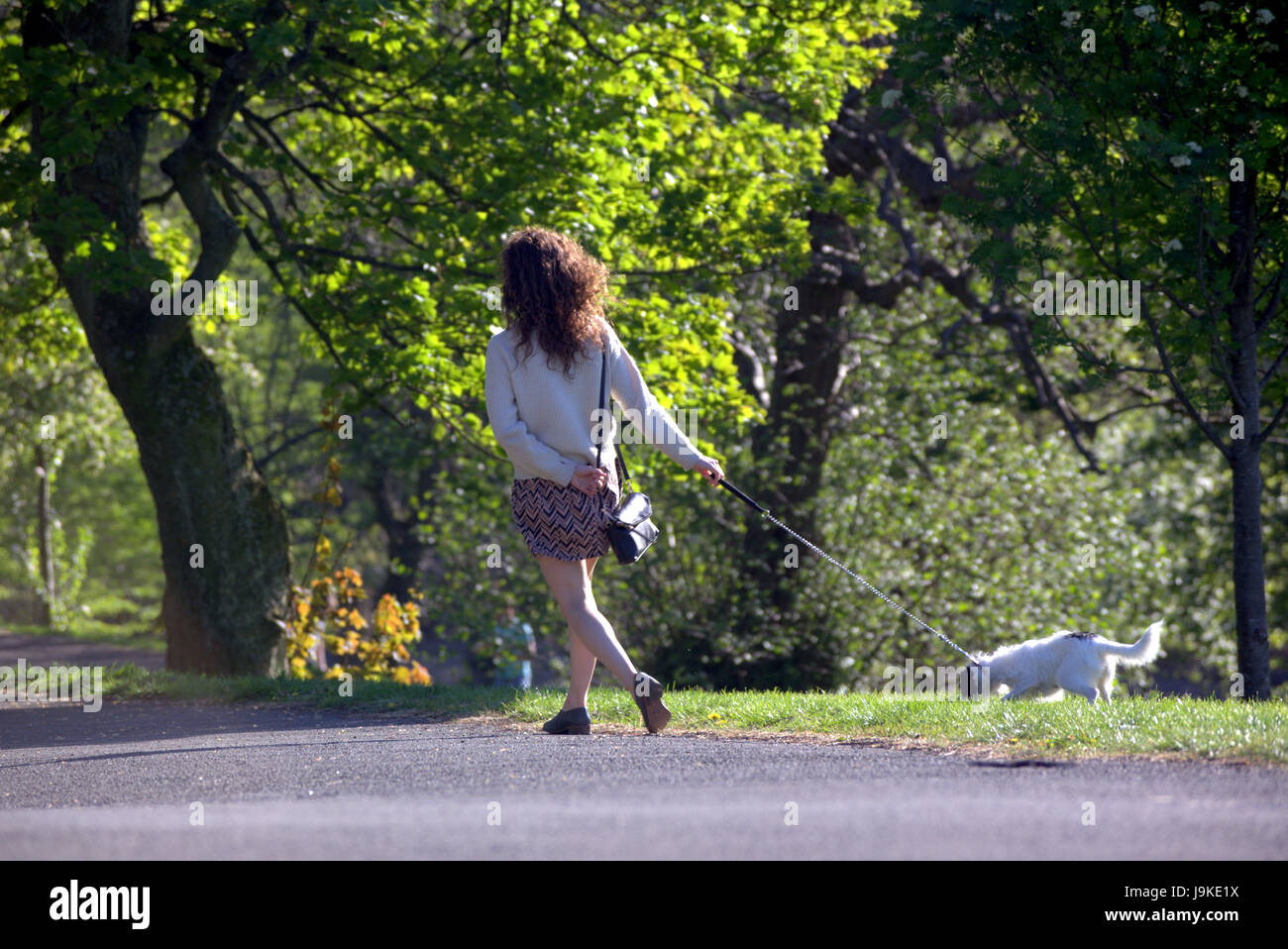 Glasgow Kelvingrove Park scena cane scuotipaglia Foto Stock