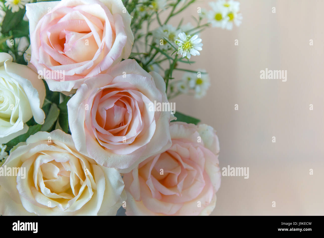 Vaso di pastello bouquet di rose su sfondo bianco, set di bellissimi fiori. Amore e concetto di San Valentino Foto Stock