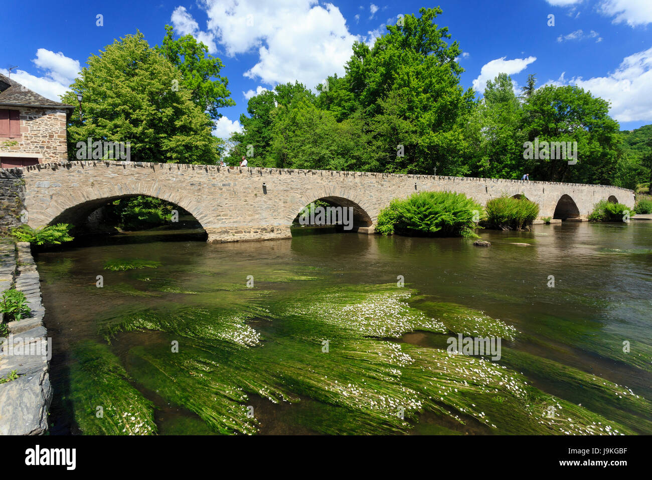 Francia, Correze, Voutezac, Le Saillant, ponte sopra il fiume Vezere Foto Stock