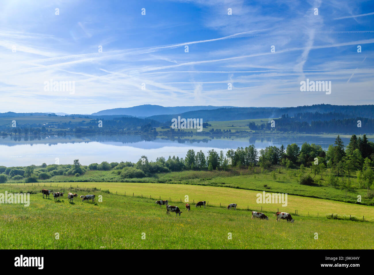 Francia, Doubs, Giura, Labergement Sainte Marie, Remoray lago in primavera Foto Stock