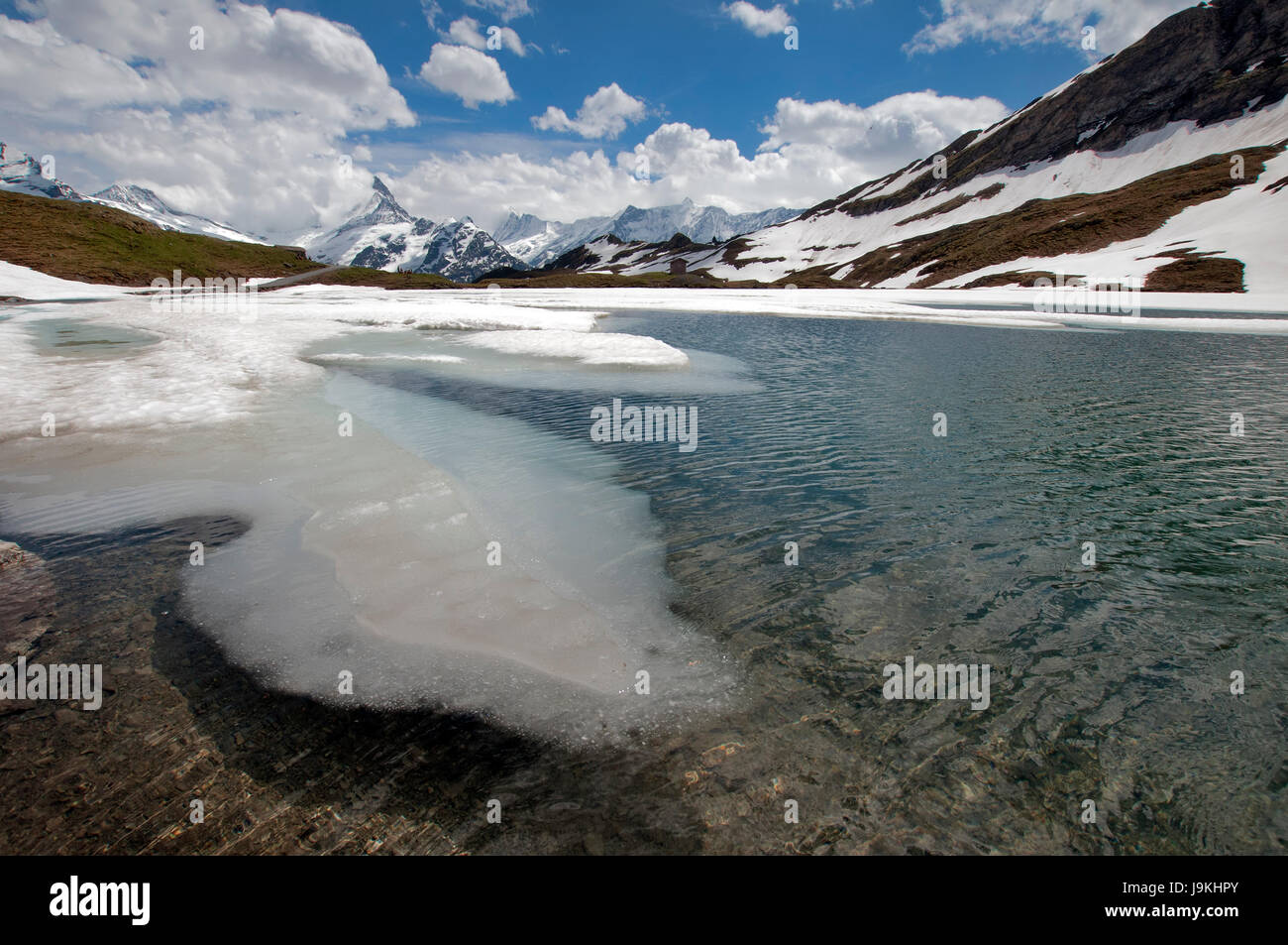 Bachalpsee con panorama di montagna Foto Stock