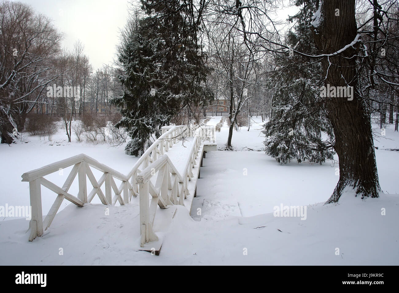 Albero, park, inverno, bridge, neve, coke, cocaina, materiale, farmaco anestetico, Foto Stock