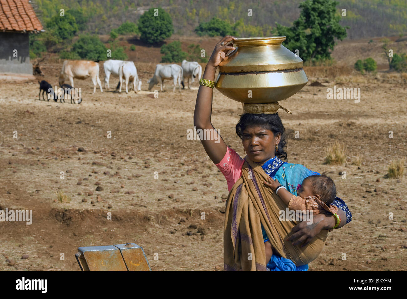 La mancanza di acqua, dindori, Madhya Pradesh, India, Asia Foto Stock