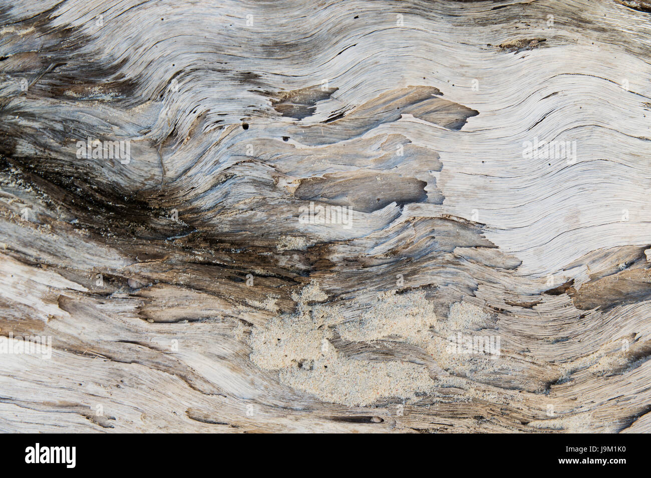 Vecchio weathered superficie in legno Foto Stock