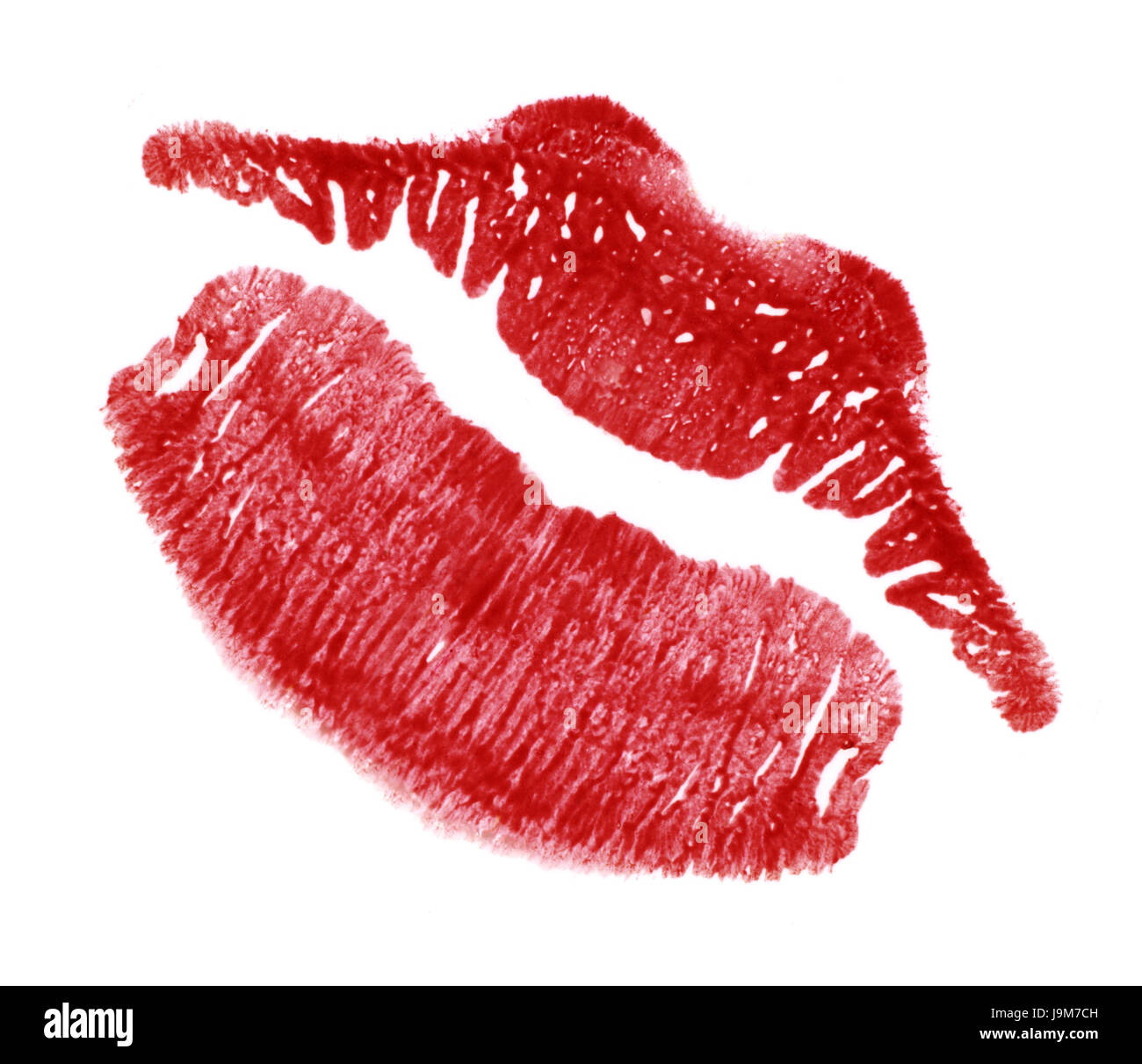 Femmina, forma, rossetto, nessuno, amore, in amore, cadde in amore, amicizia, Foto Stock