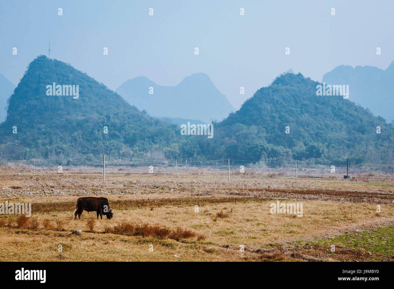 Montagne Paesaggio in autunno Foto Stock