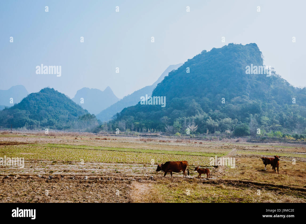 Montagne Paesaggio in autunno Foto Stock