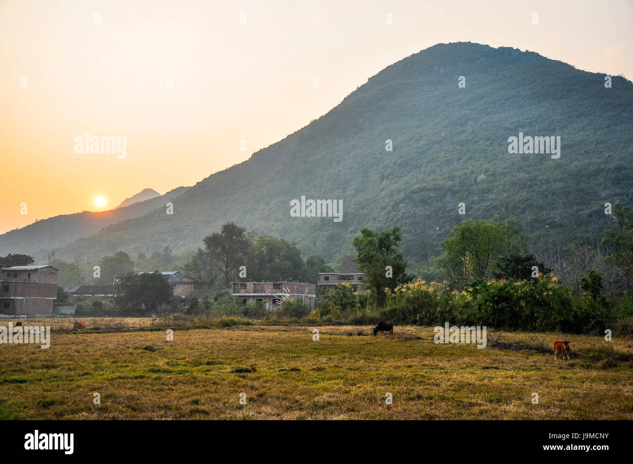 Montagne Paesaggio in autunno Foto Stock