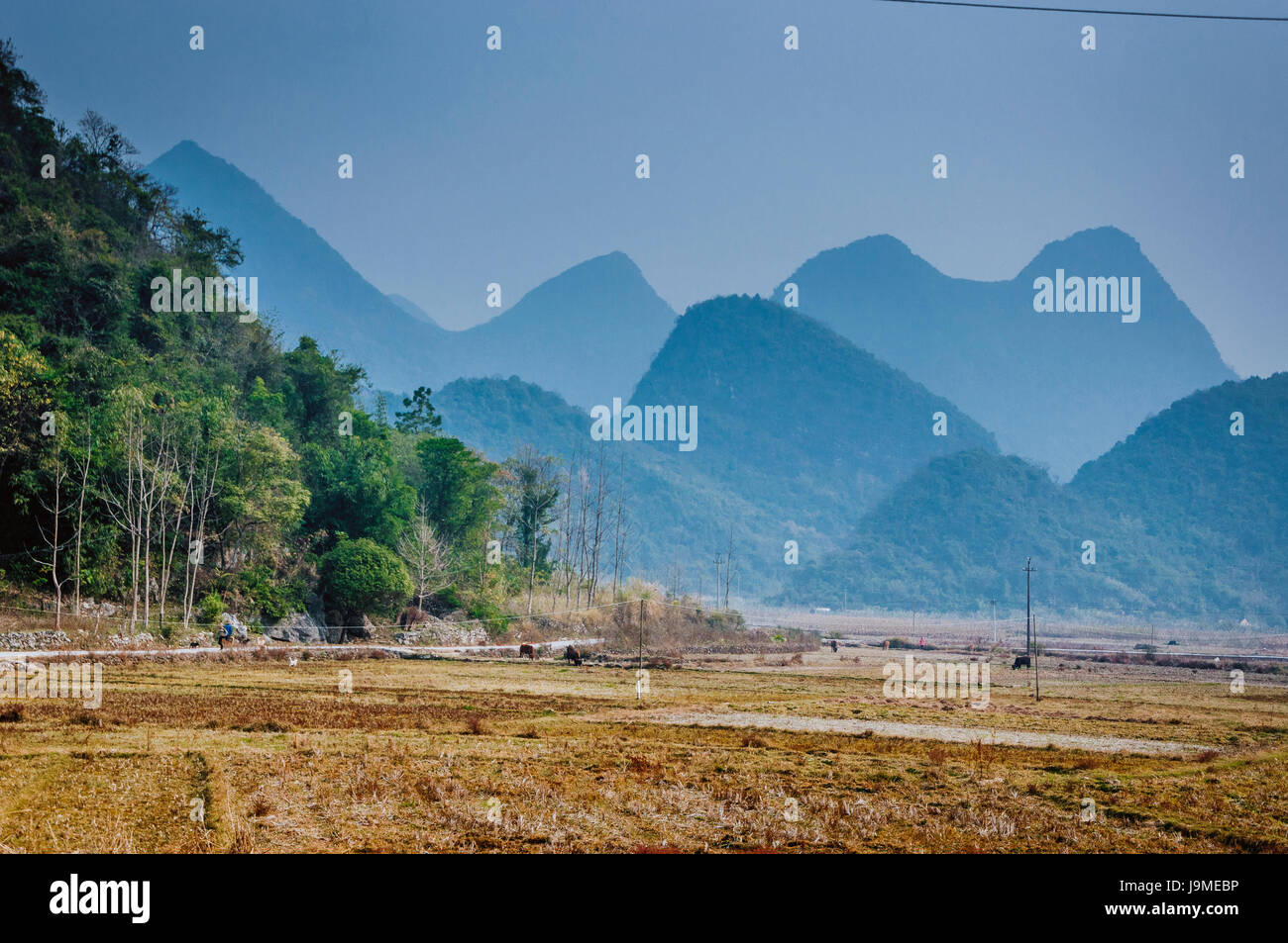 Montagne Paesaggio in autunno Foto Stock