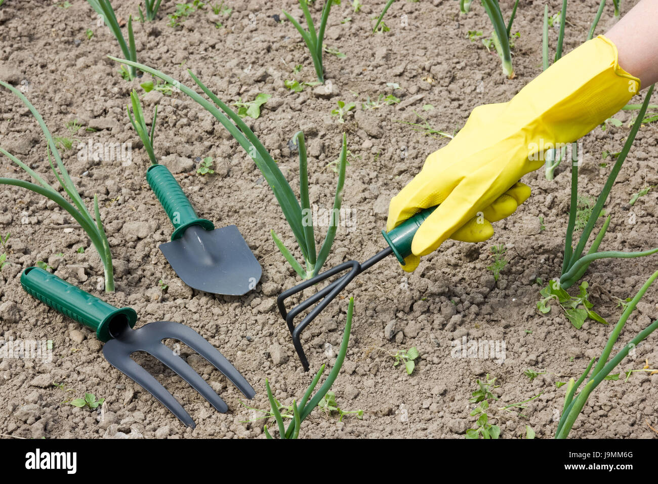 Gli strumenti agricoli, giardino, agricoltura, allevamento, giardinaggio, piante, diserbo, Foto Stock