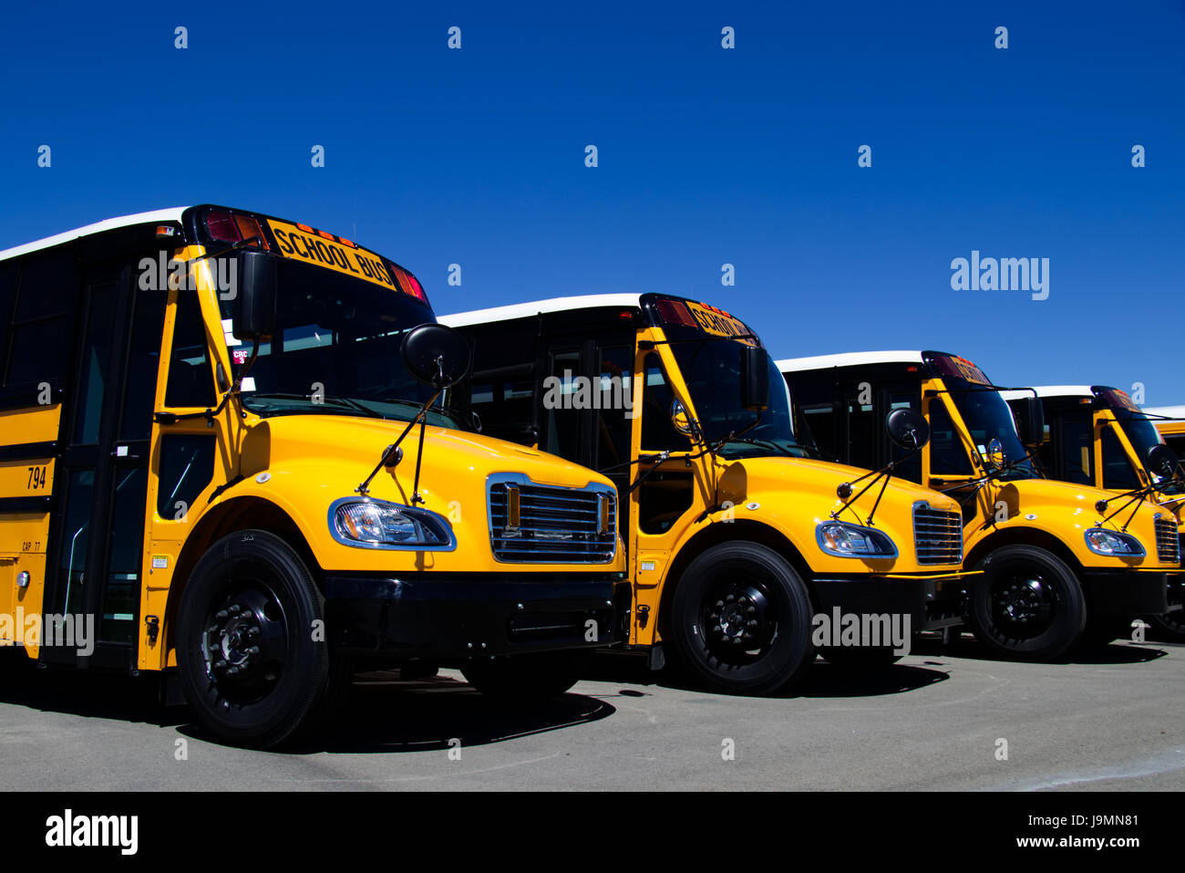 Fila di nuovo American School Bus presso un concessionario. - Tutti i marchi e il Branding rimosso. Foto Stock