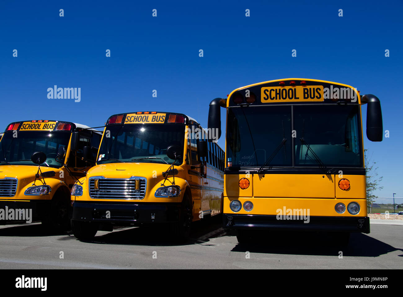 Fila di nuovo American School Bus presso un concessionario. - Tutti i marchi e il Branding rimosso. Foto Stock