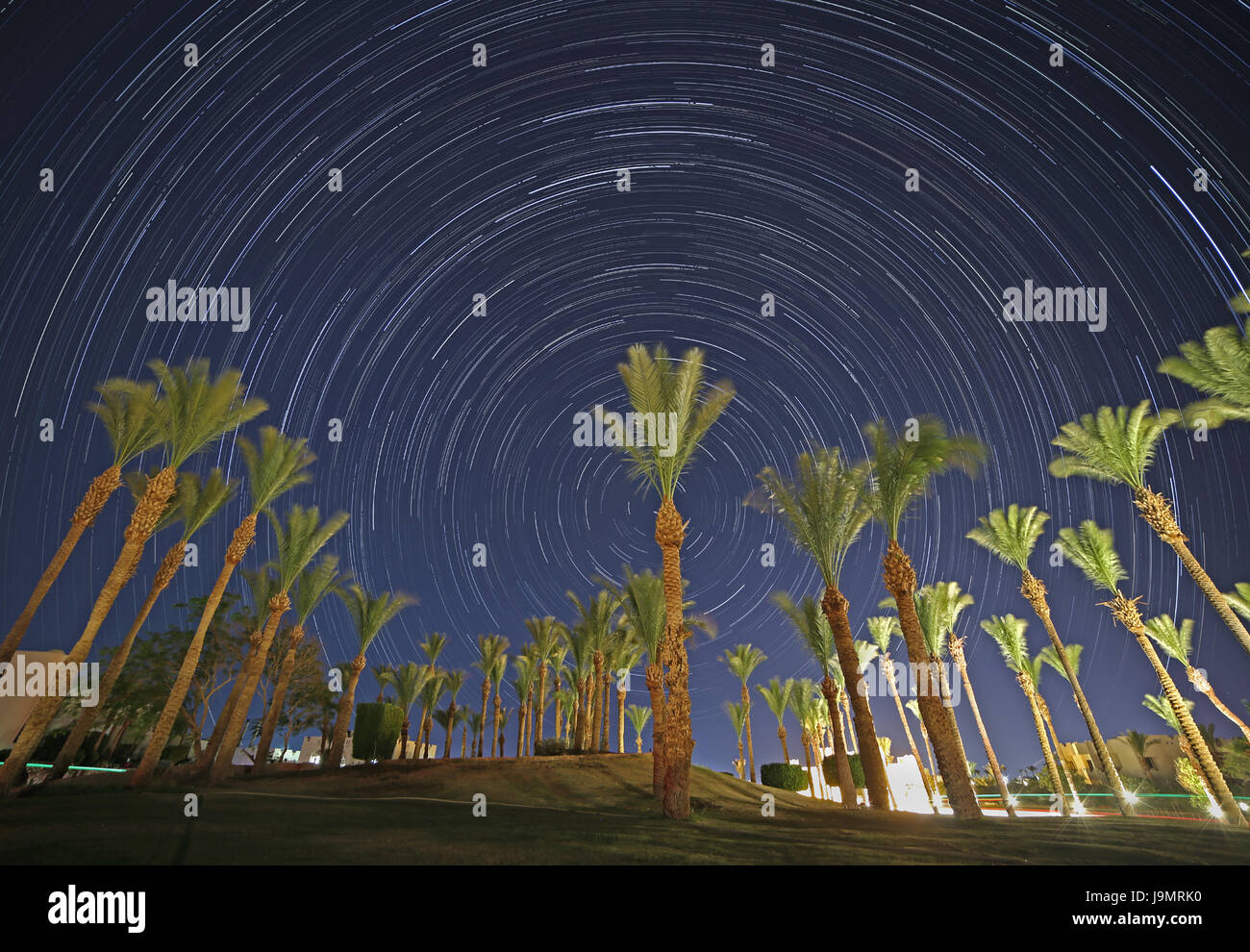 Notte in Egitto: alberi di palma contro star sentieri nel cielo notturno Foto Stock