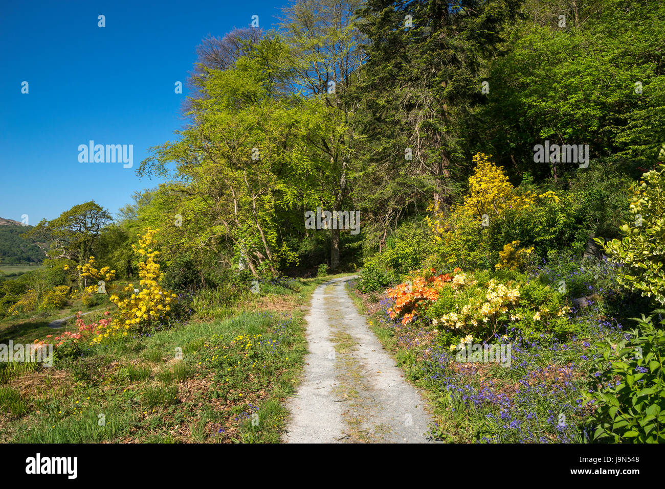 Plas Tan y Bwlch giardini nei pressi di Maentwrog in Snowdonia, Galles del Nord, Regno Unito. Foto Stock