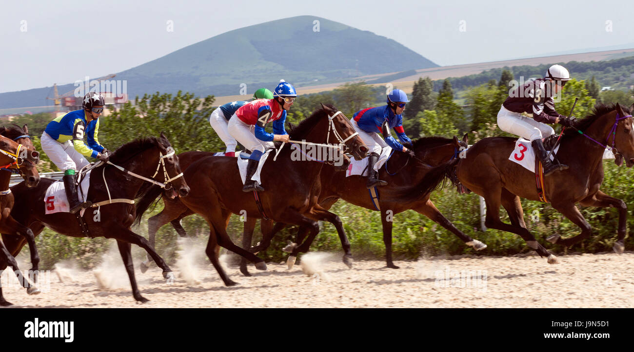Corsa di cavalli per il premio Zekasheva,Russia. Foto Stock