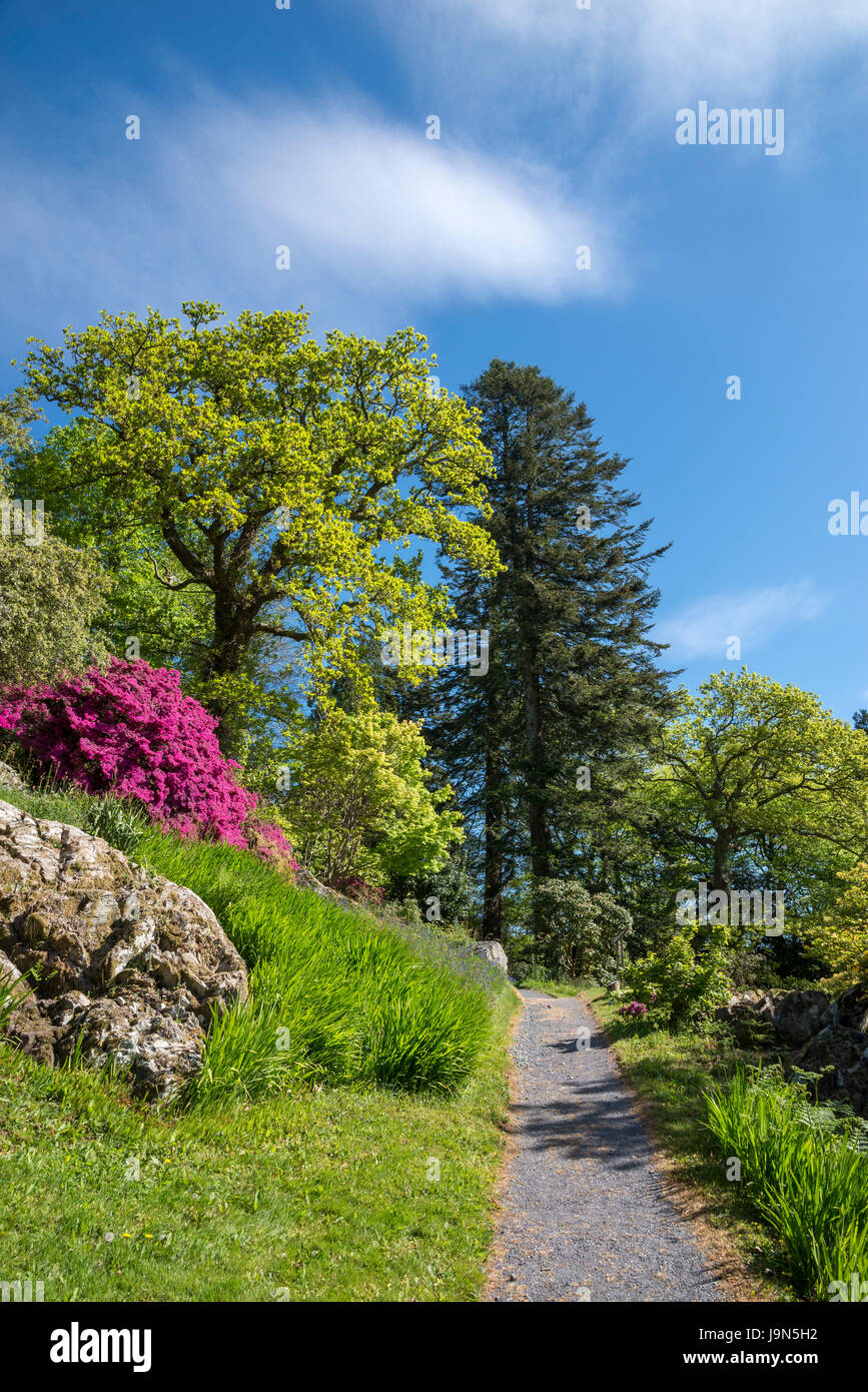 Giardini colorati in Plas Tan y Bwlch nei pressi di Maentwrog in Snowdonia, Galles del Nord, Regno Unito. Foto Stock