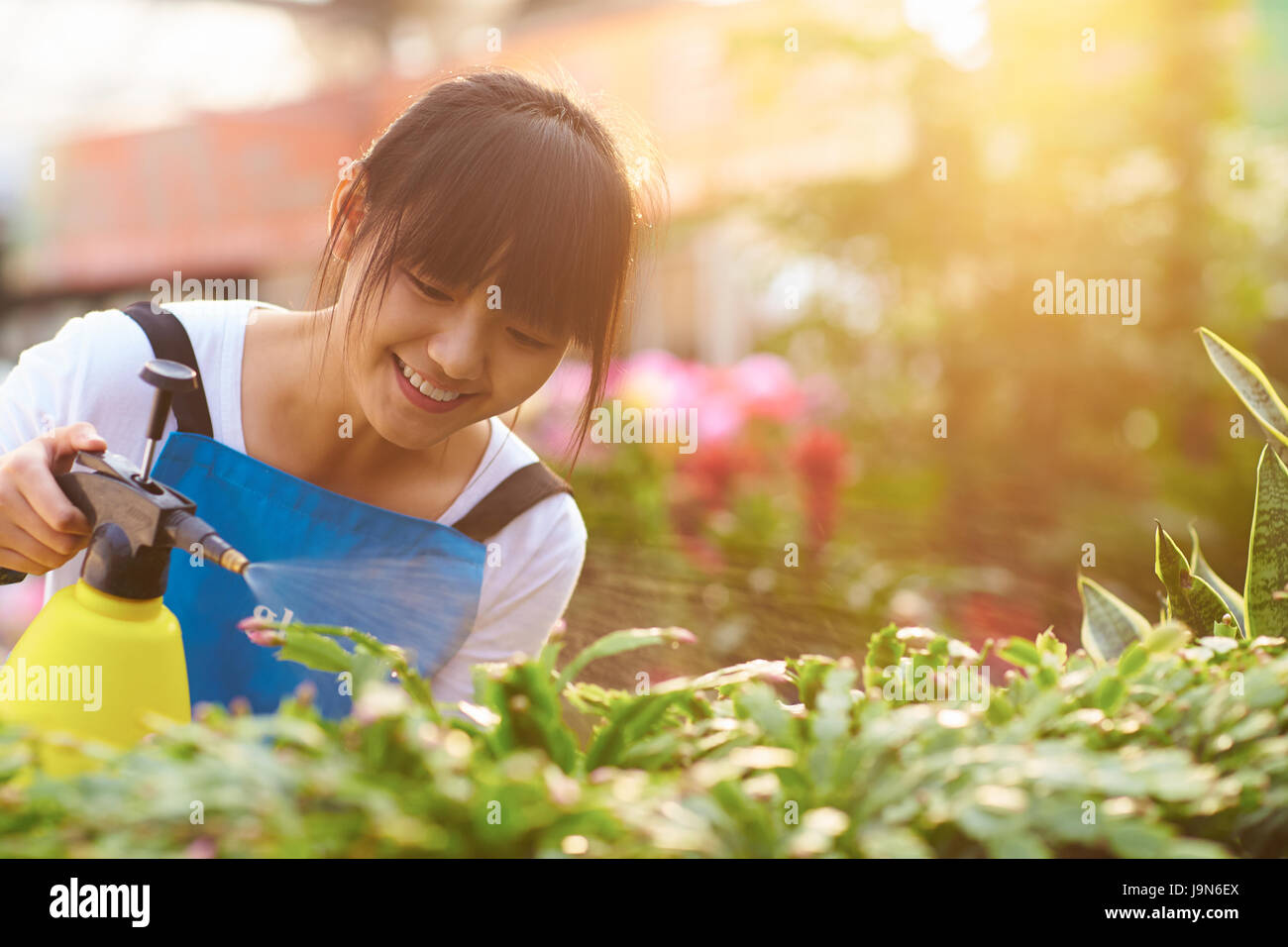 Una giovane donna asiatica fioraio fiore di irrigazione Foto Stock