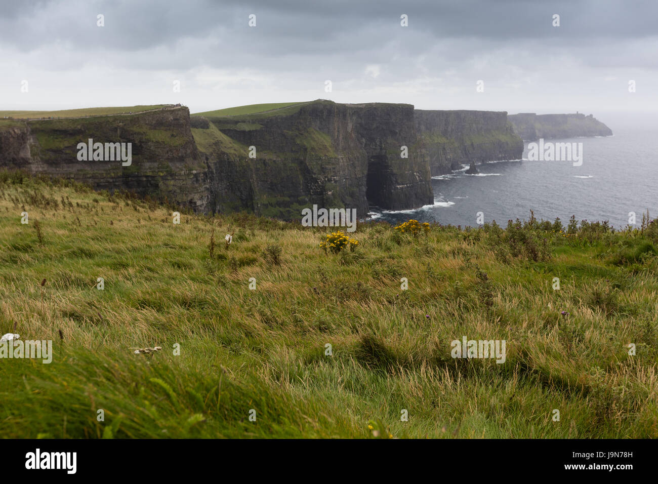 Scogliere di Moher in Irlanda in un giorno nuvoloso Foto Stock