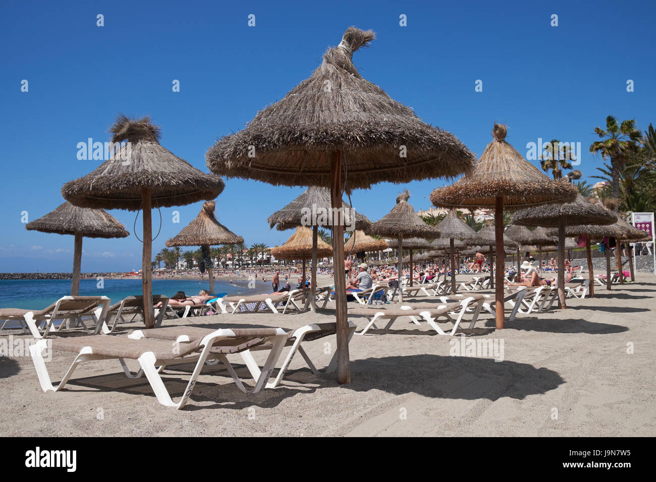 Playa del Camison, Arona, Tenerife, Isole Canarie, Spagna. Foto Stock