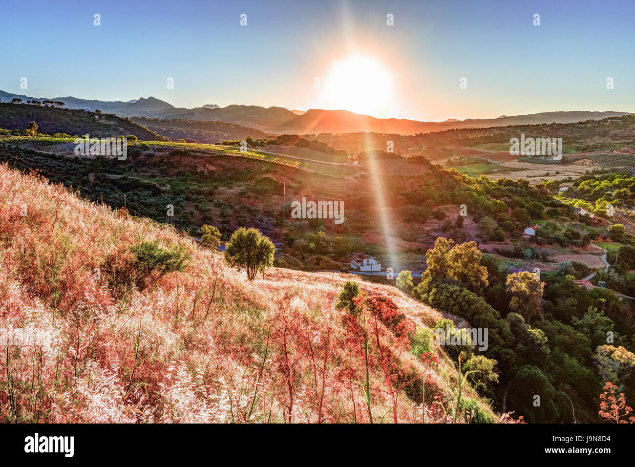 Un raggio di luce irrompe attraverso il drammatico il cielo al tramonto e ha colpito un albero solitario su una collina Foto Stock